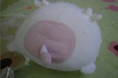 モーちゃん探検隊 : フリッカ『モーちゃん』おねむりもちもち