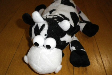特別オファー モーちゃん探検隊 : 帰ってきたモーちゃん探検隊 タイヤ・ホイール