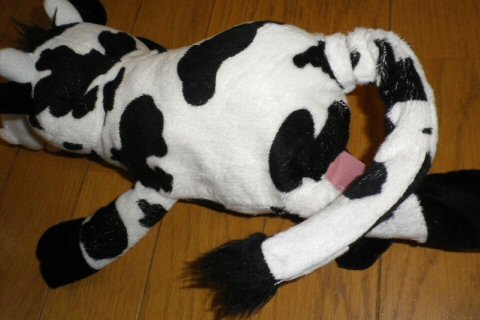 モーちゃん探検隊 : 帰ってきたモーちゃん探検隊