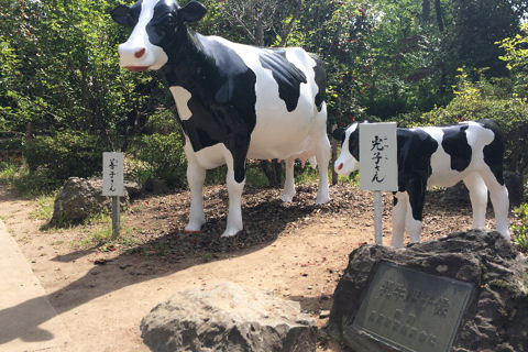 モーちゃん探検隊 : 牛に引かれて善光寺参り