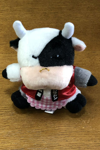 モーちゃん探検隊 : 晩餐館バンコ30周年ぬいぐるみ来た～！